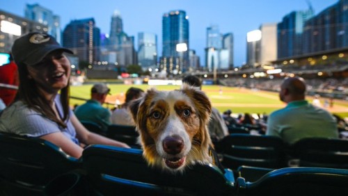 Bark in the Park Great American Ball Park