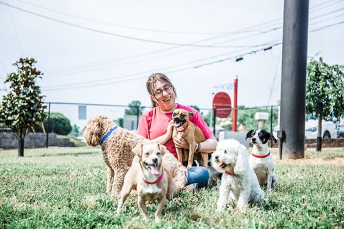 why-dog-sitters-have-the-best-job-ever.jpg
