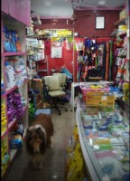 Amikra's Pet Shop