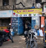 A. N. Pet Shop